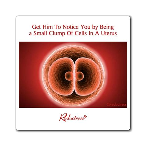 get him to notice you by being a small clump of cells in a uterus ma