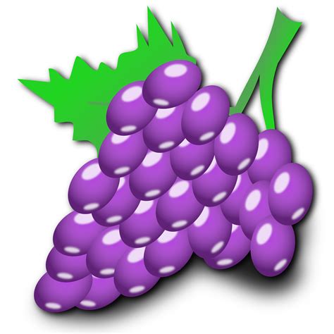 Clipart Grapes