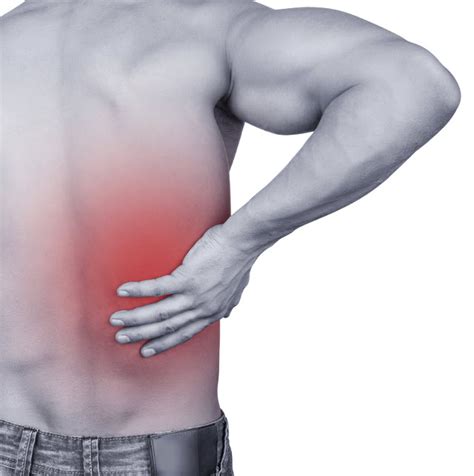 Back And Neck Pain Johns Hopkins Physical Medicine And Rehabilitation