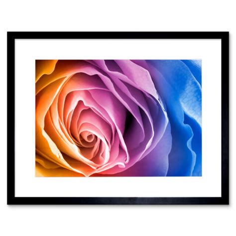 Rainbow Rose Photo Edit Art Print Framed Poster Wall Decor