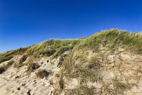 North Sea Beach And Dunes In Denmark Stock Image Image Of Sand Water