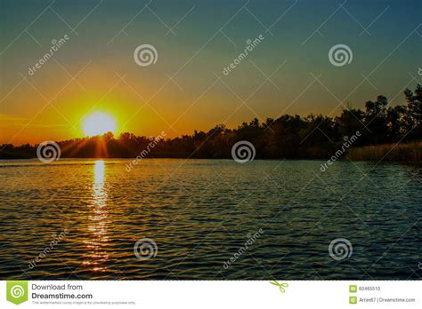 Sunset On The Big River Reeds Covered With Stock Photo Image Of