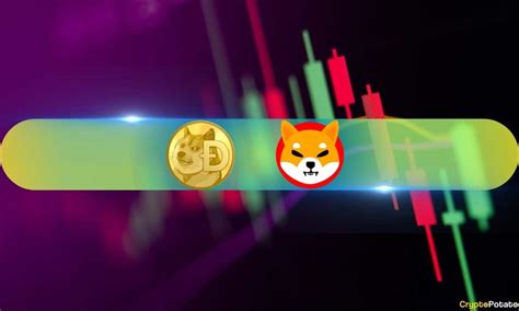Shiba Inu Shib Explodes 65 Daily Dogecoin Doge Follows Suit With