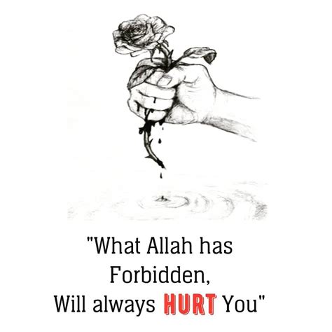 Allah Quotes Muslim Quotes Islamic Love Quotes Quran Quotes Bible