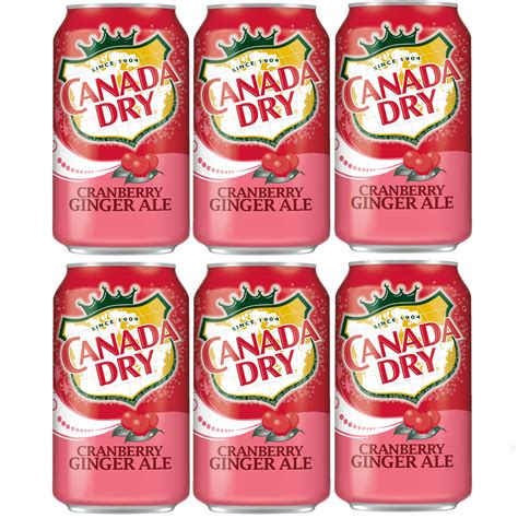 Buy Canada Dry Cranberry Ginger Ale 12oz Cans Pack Of 6 Online At