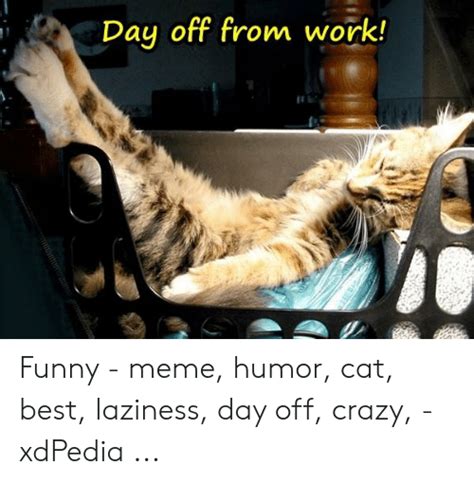 Crazy Busy Work Day Meme