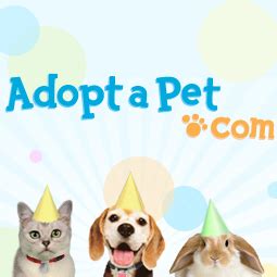 Although we remain closed to the general public, we are piloting a no contact adoption process so that you can still bring home a new adoption fees for cats: Animal Shelters in Your Area; Search for Dogs and Cats.