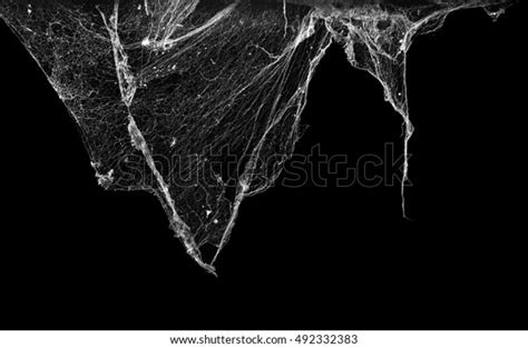 2146 Clean Spider Webs Images Stock Photos And Vectors Shutterstock