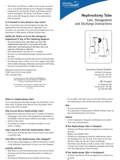 Care Instructions For Patients With A Nephrostomy Tube Pdf