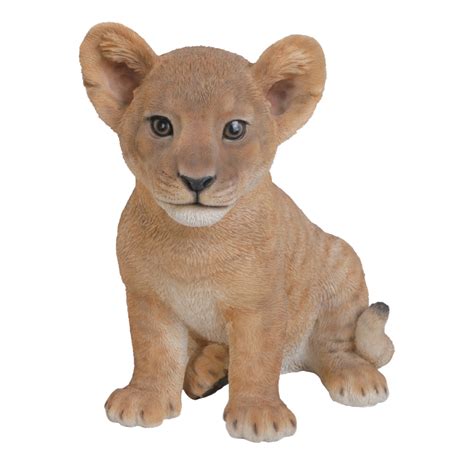 Lion Cub Png Transparent Images Png All