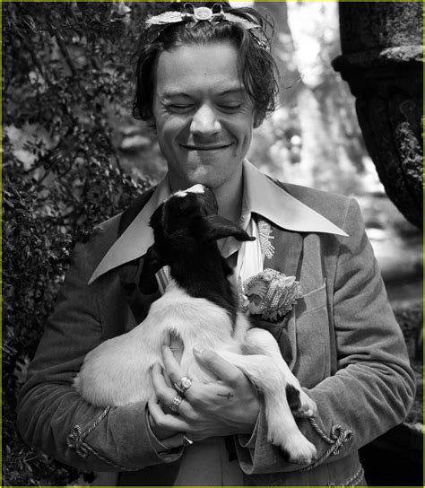 The best gifs for harry styles photoshoot. Harry Styles Takes Pics With Cute Animals for Gucci's ...