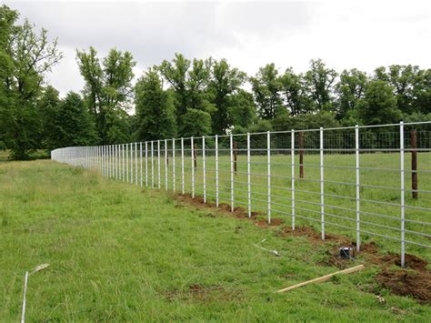 Deer Fencing And Tree Guards For Historic Country Estate Paddock