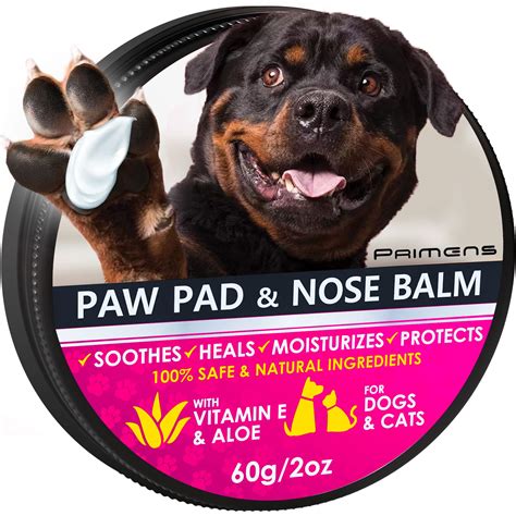 Can You Put Lotion On A Dog's Paw Pads: Essential Care Guide - Vet Advises