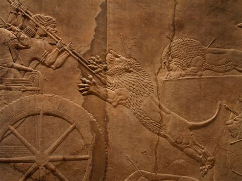 Assyrian Relief Carving Men Spearing Lion Adam Mcdowall Flickr