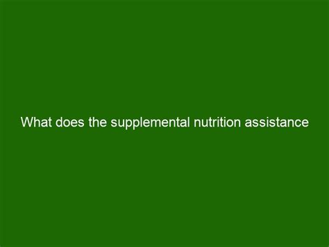 What Does The Supplemental Nutrition Assistance Program Snap Provide