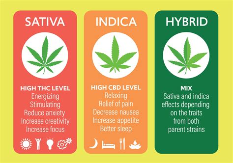 Indica Vs Sativa Vs Hybrid Difference Effects Use