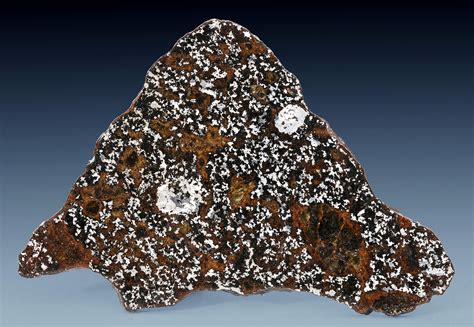 Complete Slice Of The Timbuktu Meteorite Mesosiderite — B4 Timbuktu