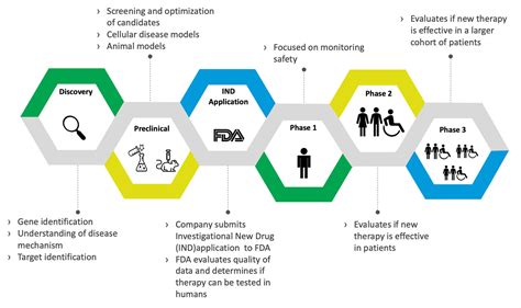 Drug Discovery And Development Flowchart
