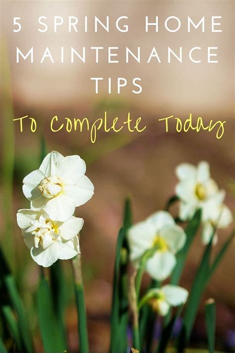 5 Spring Home Maintenance Tips To Complete Today Lovely Imperfection