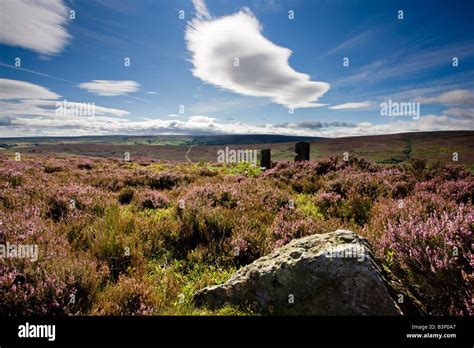 North Yorkshire Heather Rock Hi Res Stock Photography And Images Alamy