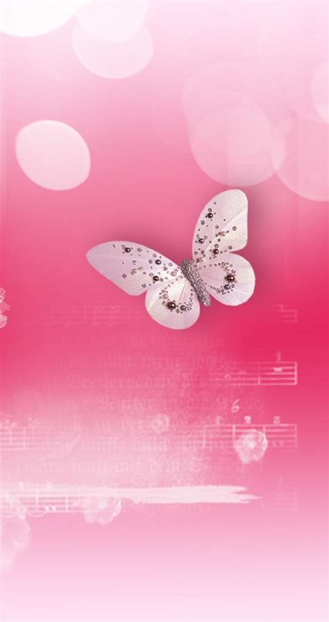 Pink Background Hd Butterfly If Youre Looking For The Best Pink