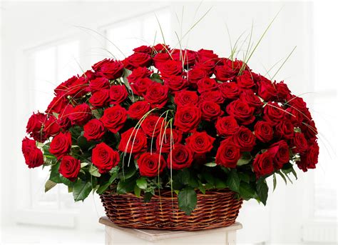 Large framed art prints & framed canvas prints Big bouquet of beautiful red roses in a basket on a white ...