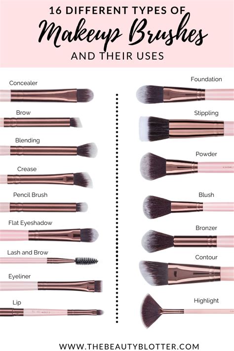 the complete list of makeup brushes and their uses artofit