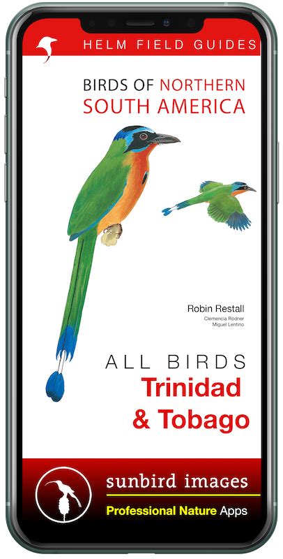 All Birds Trinidad And Tobago Sunbird Images