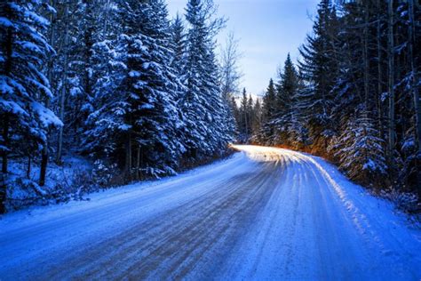 Seasons Winter Roads Fir Snow Nature Wallpapers Hd Desktop And