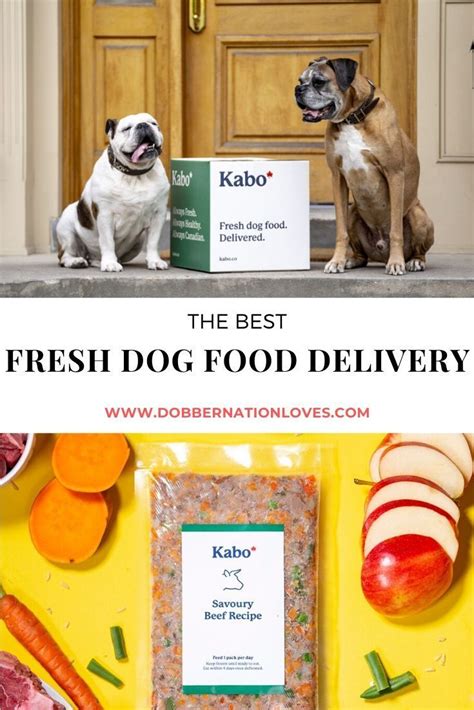 So we created food so fresh that you. Fresh Dog Food: Bring Your Dog More Joy with Kabo in 2020 ...