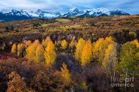 Dallas Divide Fall Ridgway Colorado Photograph By Gary Whitton