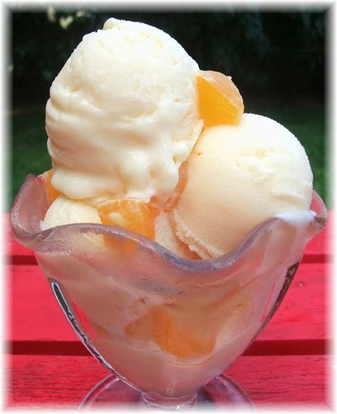 Rosies Country Baking Creamsicle Ice Cream