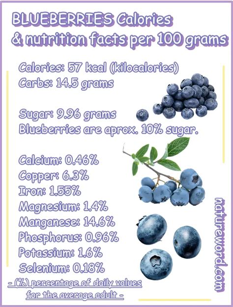Blueberries Calories And Vitamins Per 100 Grams Natureword