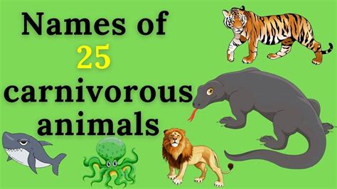Animals That Are Carnivores List