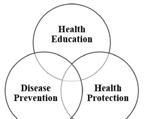 6 Health Education And Promotion In The Uk By The Autistic Carer I