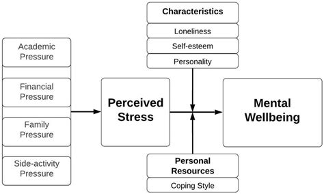Conceptual Model Of The Relationship Between Underlying Stressors