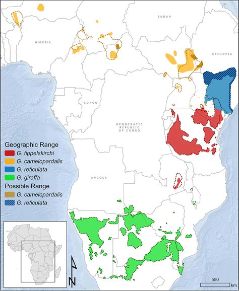 Updated Geographic Range Maps For Giraffe Giraffa Spp Throughout Sub