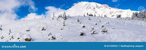 Path Cover With Snow In Paradise Areascenic View Of Mt Rainier Stock