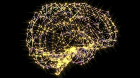 Success Mindset Neuroscience Tells Us How To Hack Our Brains For Success