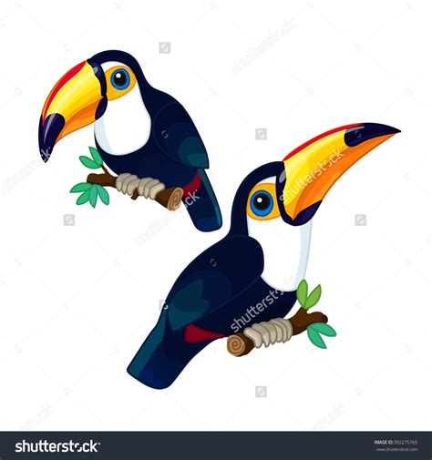 Piciformes Clipart 20 Free Cliparts Download Images On Clipground 2023