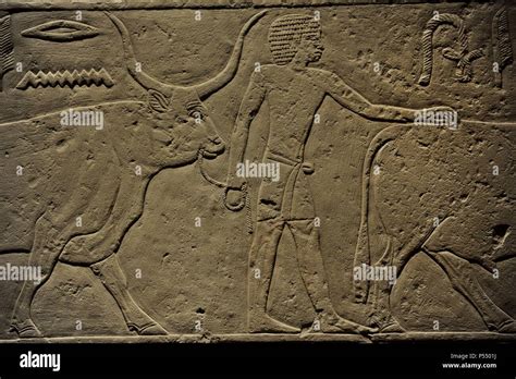 Egyptian Art Offering Scene From Ka Em Rehu S Tomb At Sakkara C 2 300 B C Old Kingdom