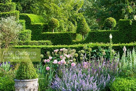 Players need to choose and match at least 3 flowers of the same type to score. The Lily Pool Garden... stock photo by Highgrove, Image ...