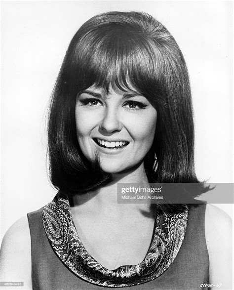 Entertainer Shelley Fabares Poses For A Portrait To Promote The Foto
