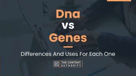 Dna Vs Genes Differences And Uses For Each One