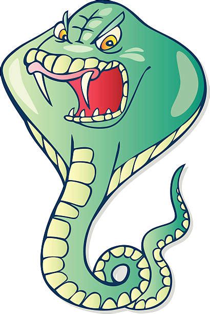 Snake Open Mouth Stock Vectors Istock
