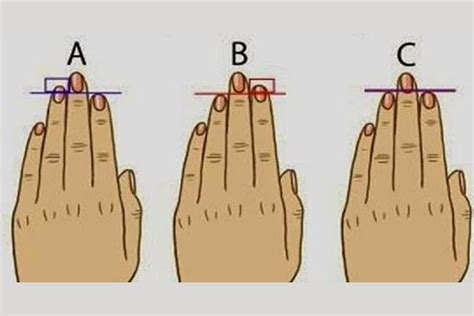 Here S What Your Finger Length Reveals About Your Personality
