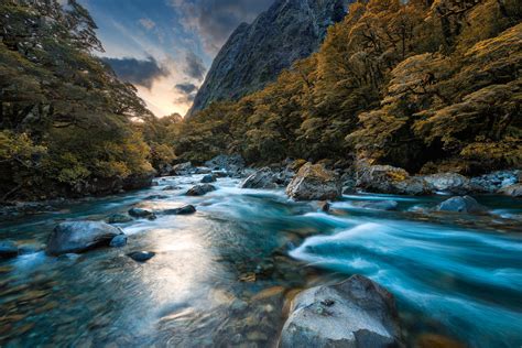 Fiordland National Park New Zealand Loner And Pedestrians Must Come