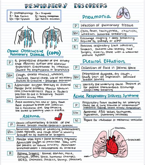 Respiratory Disorders Overview Medical School Essentials Nursing