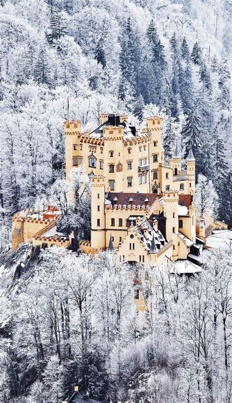 Hohenschwangau﻿ Castle Germany Travel The World Beautiful