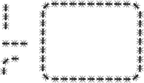 Free Ant Border Cliparts Download Free Ant Border Cliparts Png Images